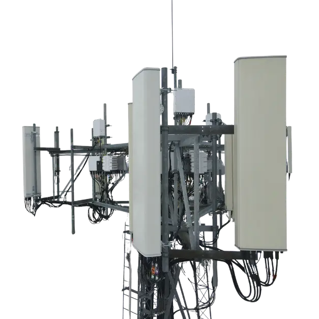 Service/Feature Image