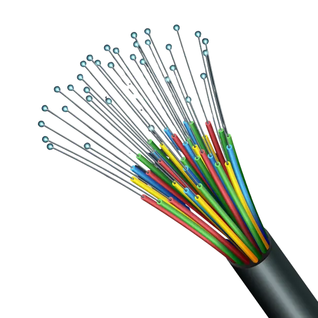 Service/Feature Image